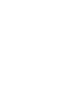 Team Vitality
